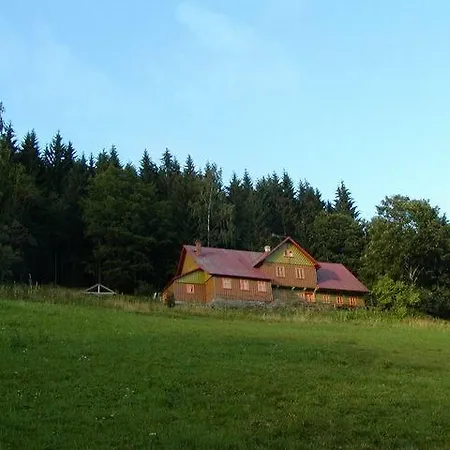 Pampeliska