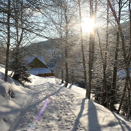 Guest house Pampeliska